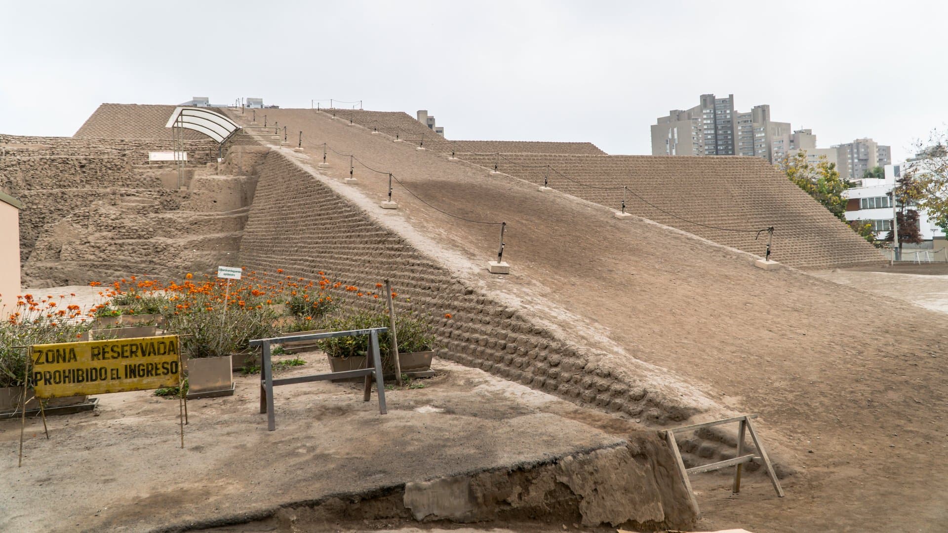 Free Pyramids & El Olivar Tour Lima3