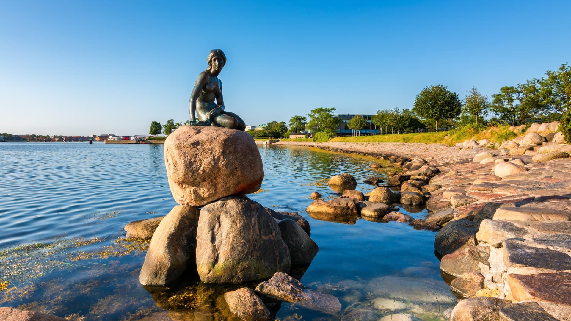 Free Little Mermaid & Port Tour Copenhagen2