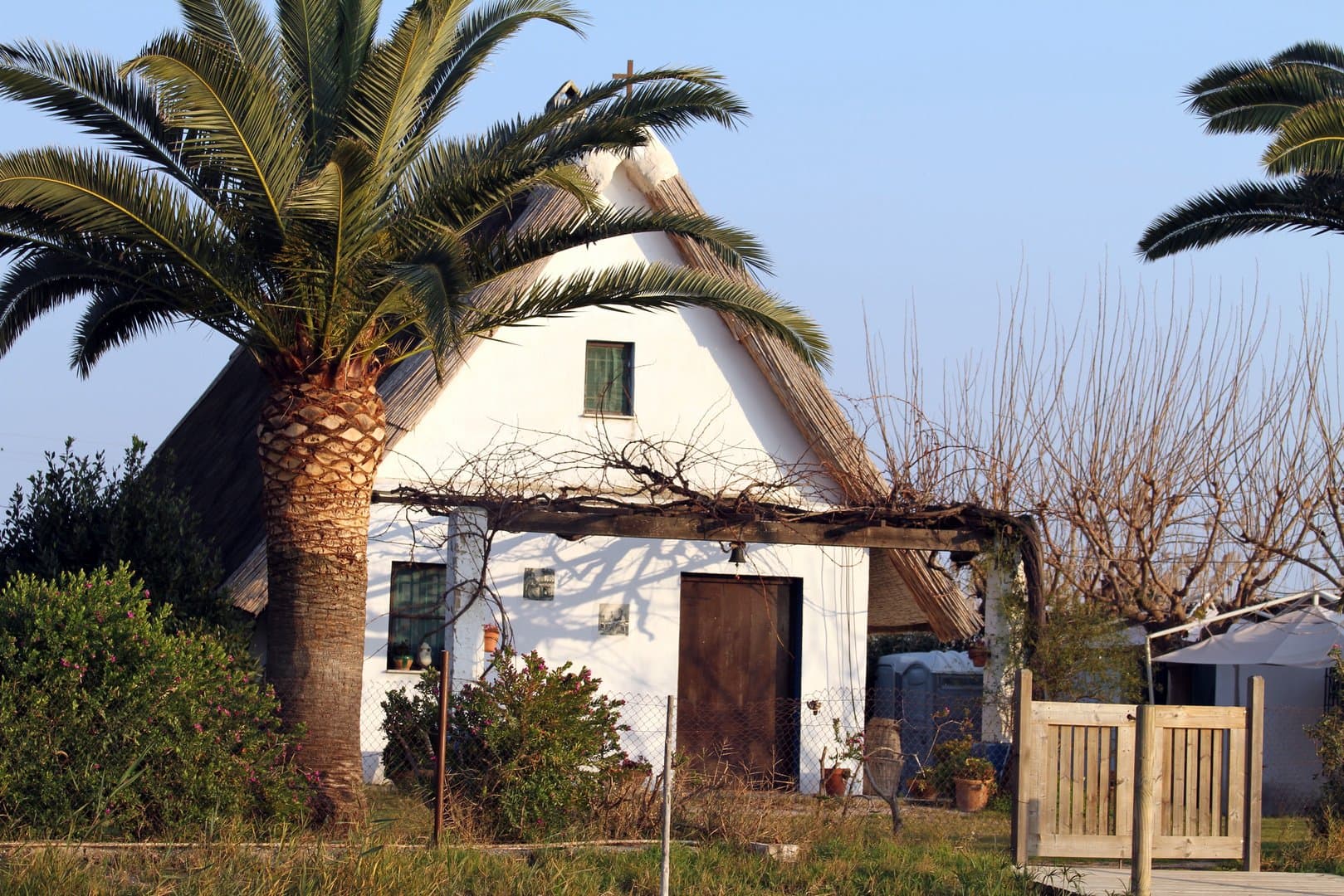 Free Albufera Tour Valencia3