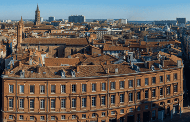 Toulouse Skyline