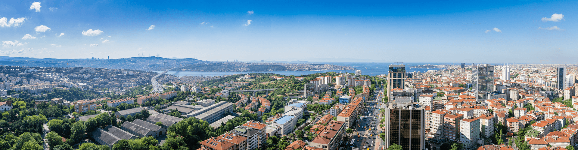 Istanbul Skyline