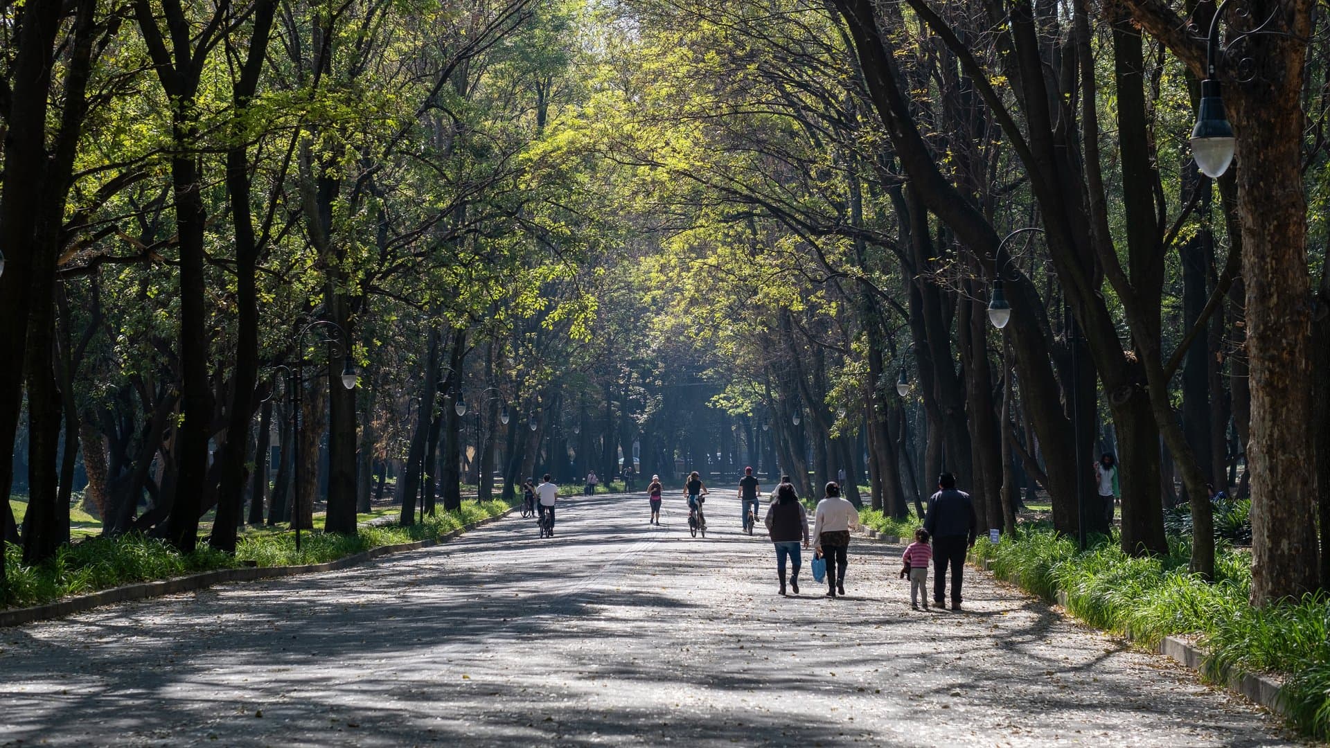 Free Chapultepec Tour Mexico City2