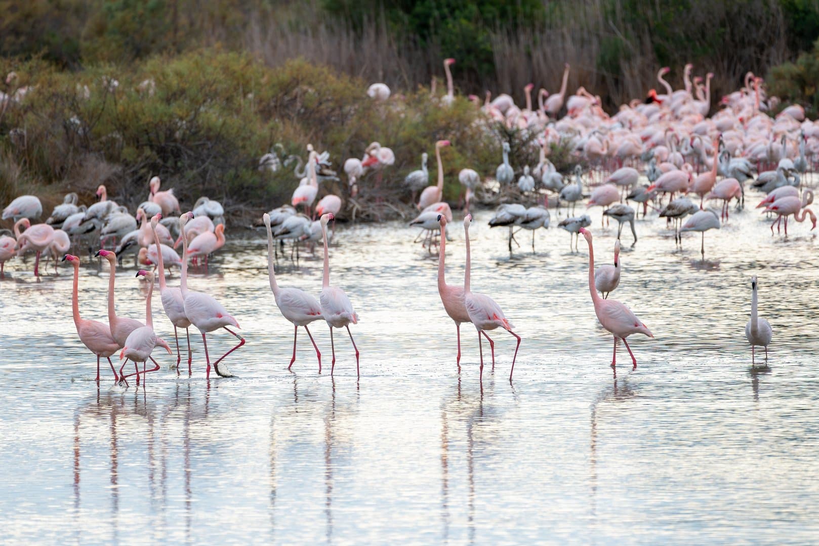 Free Albufera Tour Valencia5