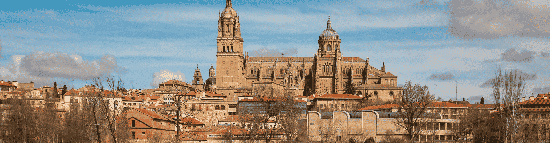 Essential Free Tour Salamanca Banner