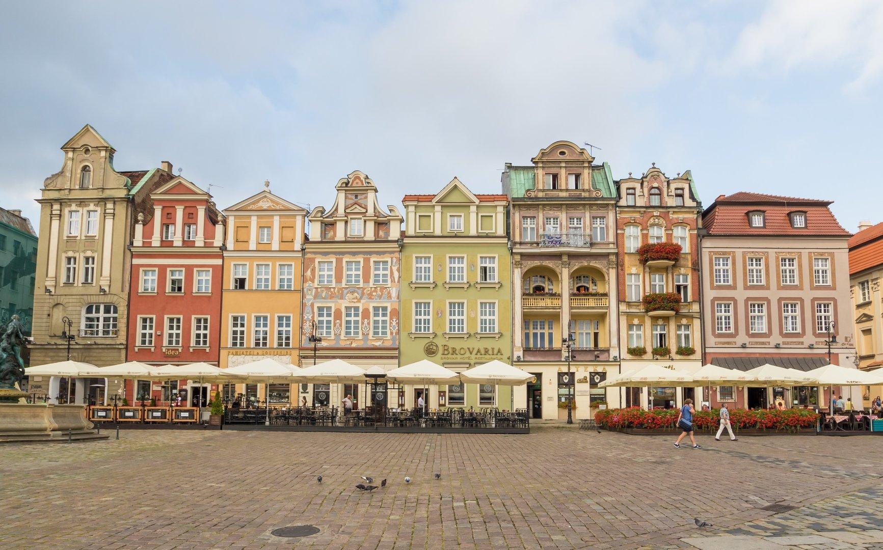 Essential Free Tour Poznan Strawberry Tours