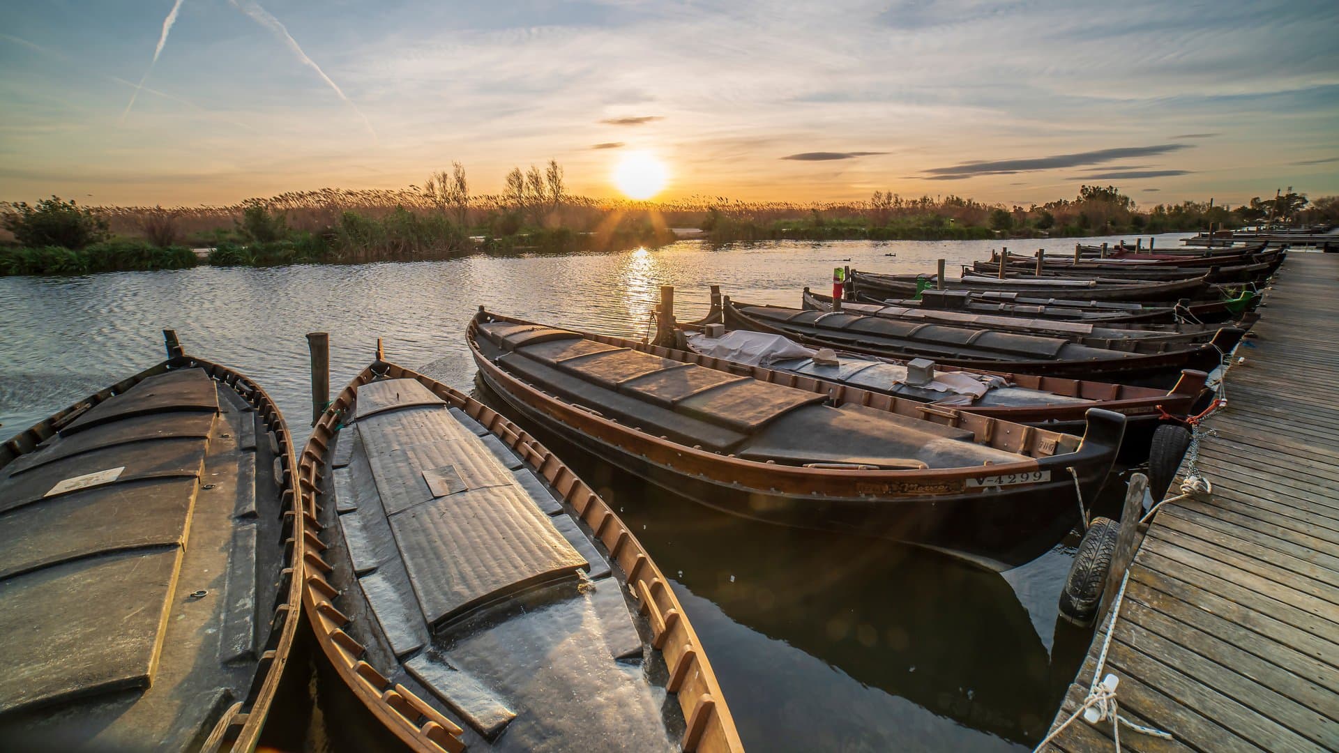 Free Albufera Tour Valencia4