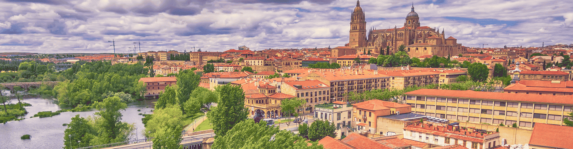 Salamanca Skyline
