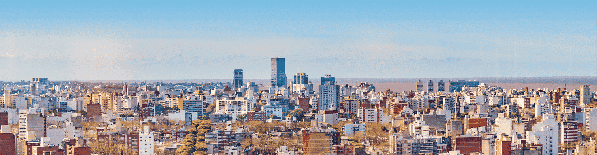 Montevideo Skyline